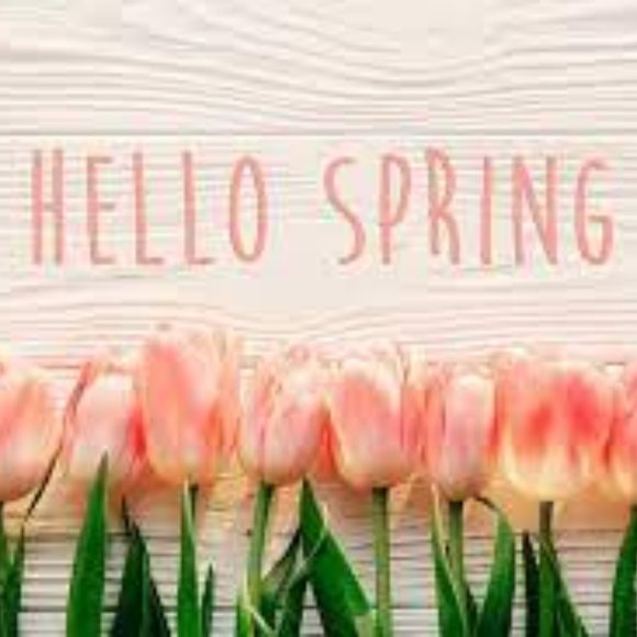Think Spring! Think Warmer Weather! Shop for Spring Dresses
